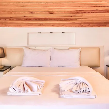 Tropical Suits 올루데니스