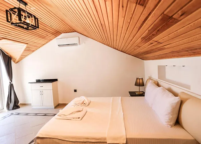 Tropical Suits 올루데니스