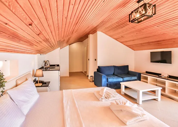 Tropical Suits 호텔 올루데니스