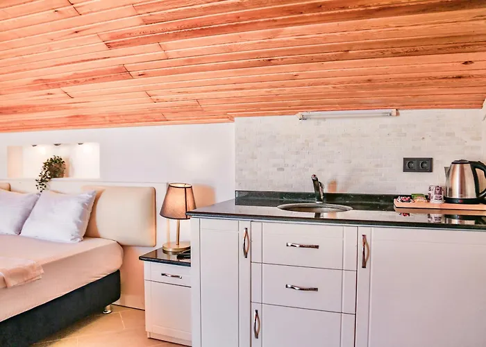 Tropical Suits 호텔