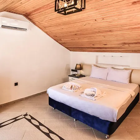 Tropical Suits * 厄吕代尼兹