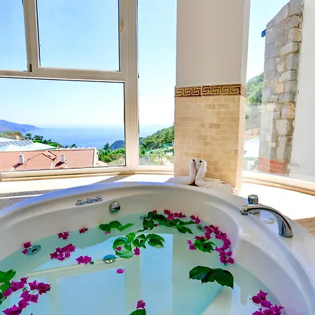 Tropical Suits * 厄吕代尼兹